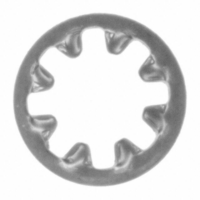 INTLWSS 010 B&F Fastener Supply  Rondelle